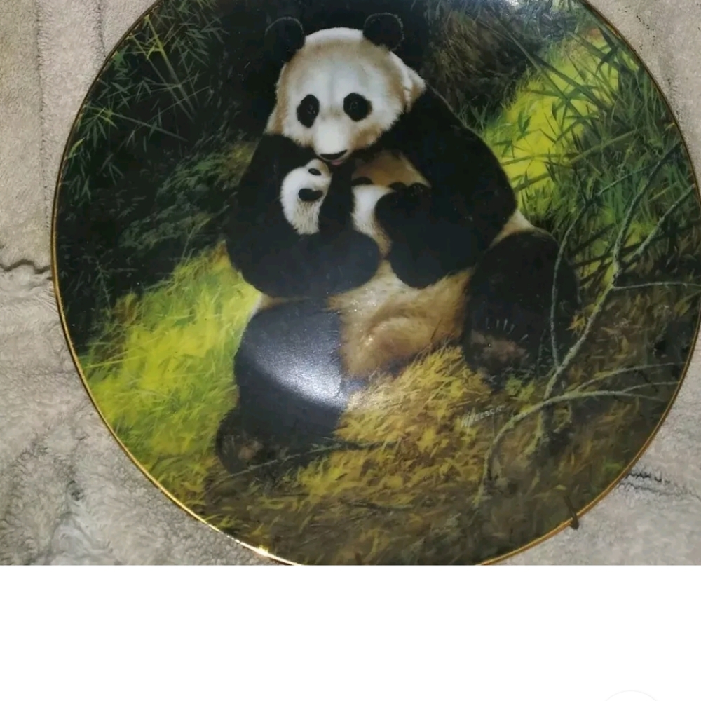 Everything panda